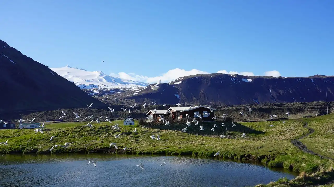 How To Decline Icelandic Adjectives Based On Gender And Number