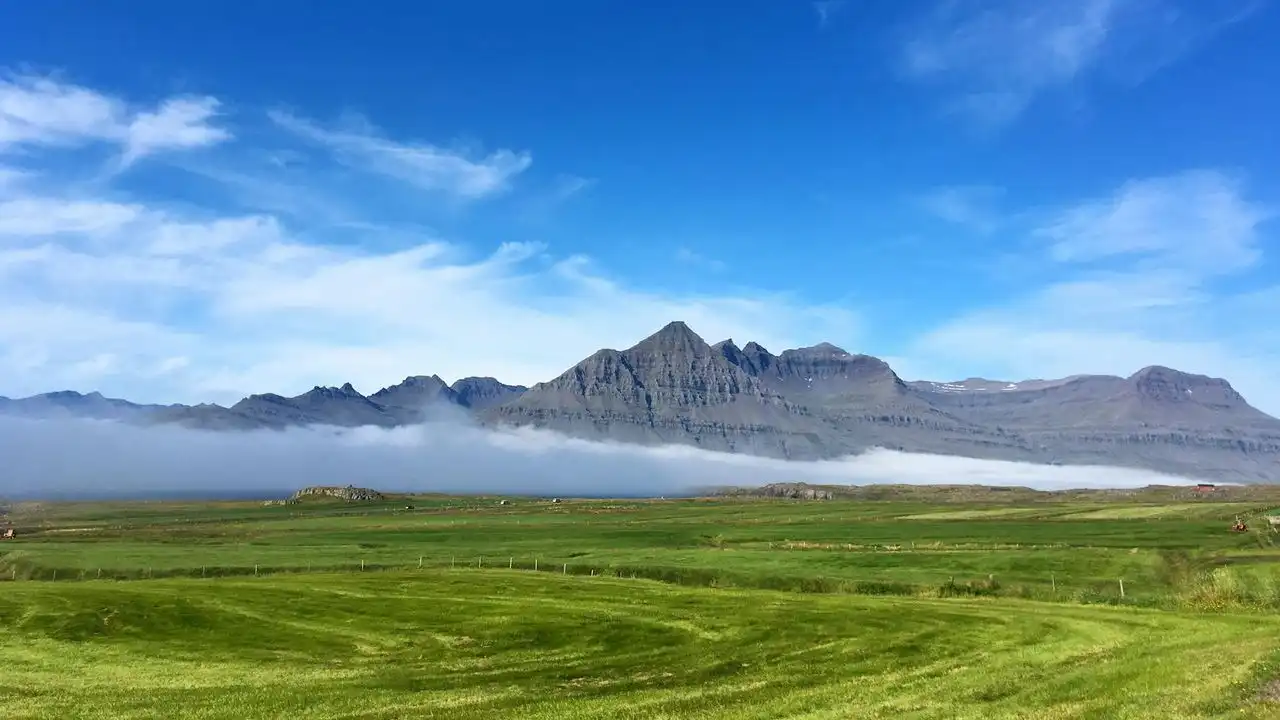 Icelandic Is Fundamentally Different From Norwegian And Swedish: A Comparative Guide