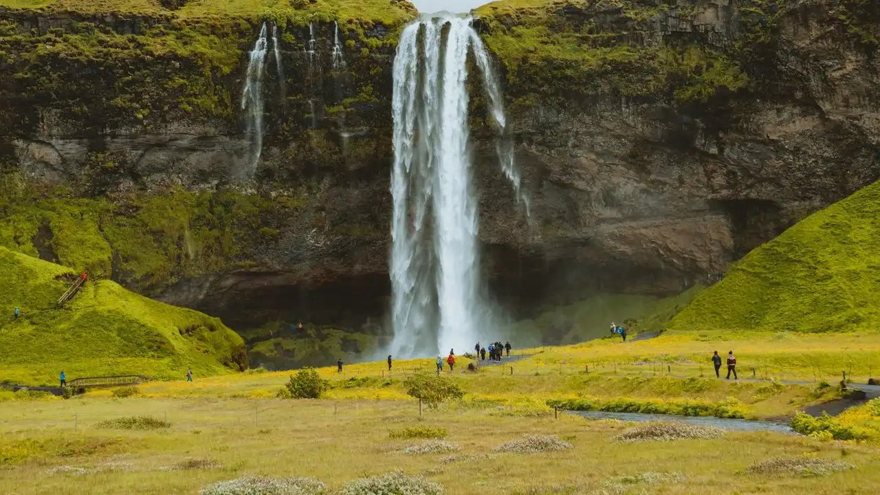 Pimsleur Icelandic Is A Practical Tool For Beginners: An Honest Review